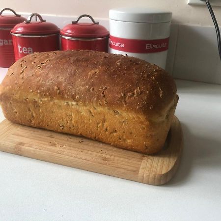 シドニー フレンチズ フォレスト ベッド＆ブレックファースト Bed & Breakfast エクステリア 写真